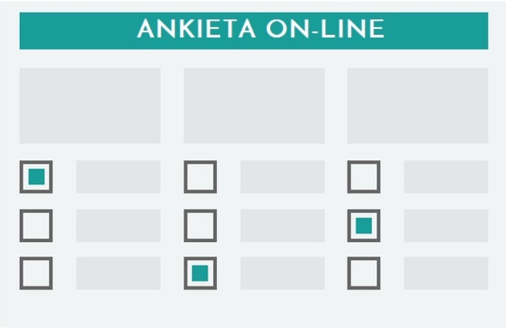 zdjęcie ankiety on line